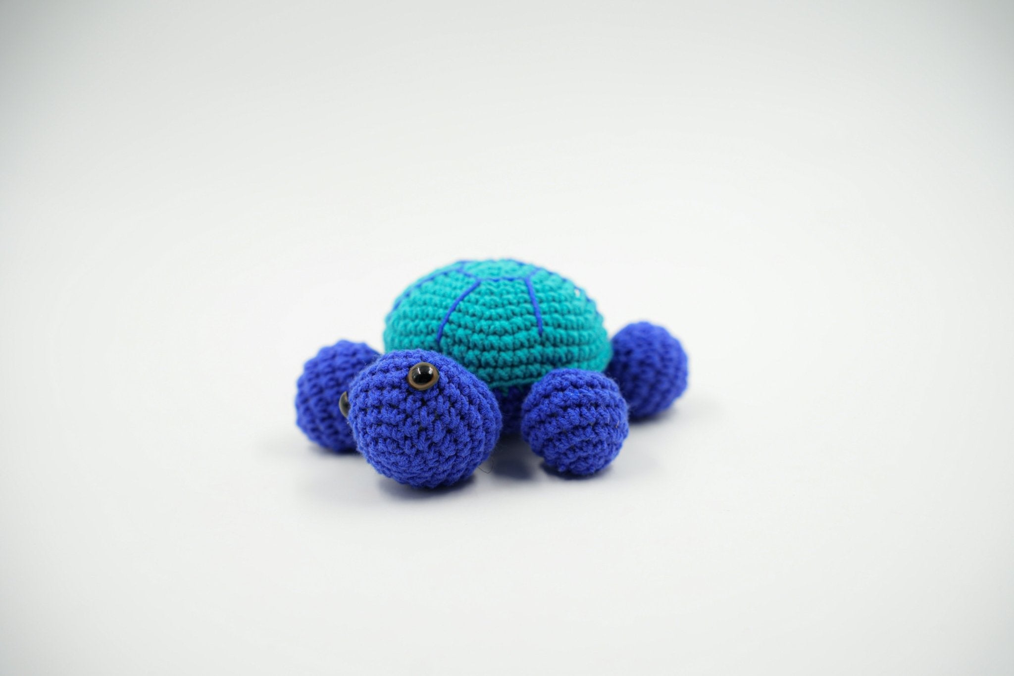 TURTLE TOY - PTI - MIRA Y MANO