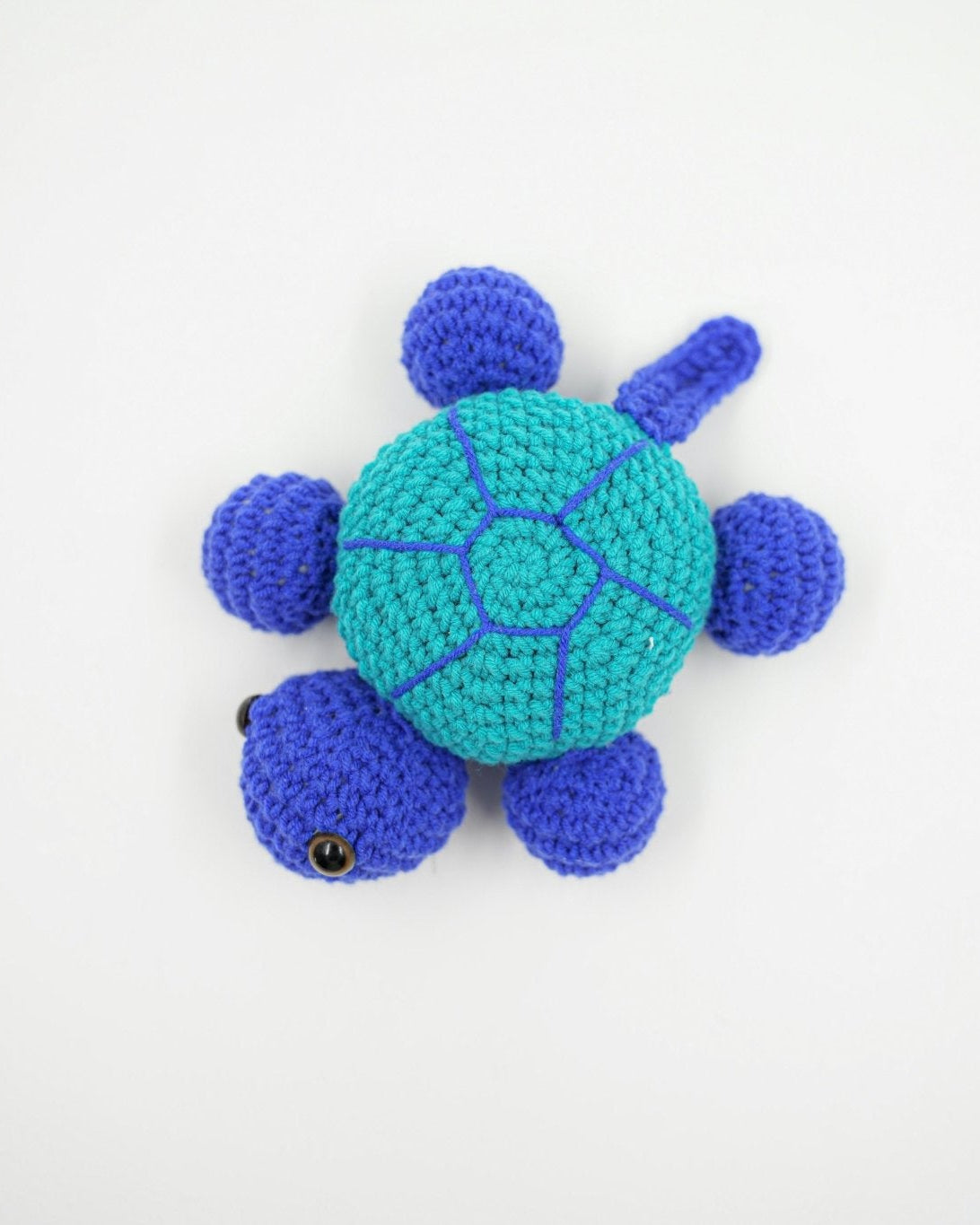 TURTLE TOY - PTI - MIRA Y MANO