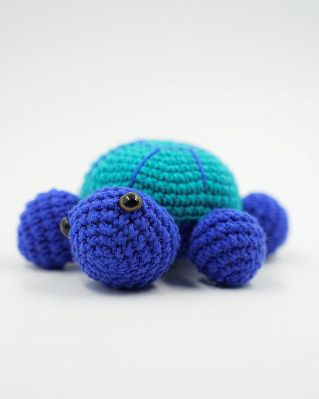 TURTLE TOY - PTI - MIRA Y MANO