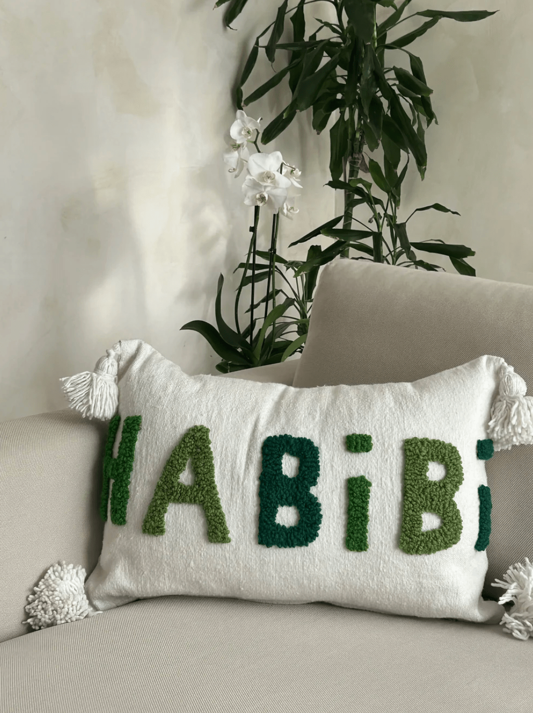 HABIBI GR PILLOW - AYA HOME - MIRA Y MANO