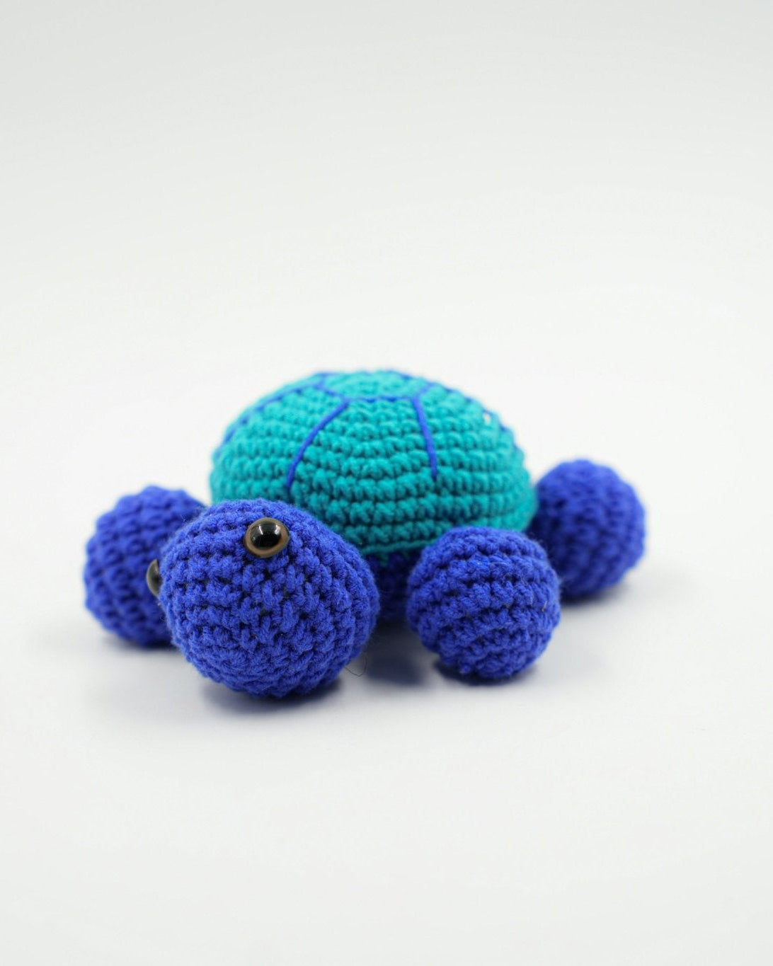 TURTLE TOY - PTI - MIRA Y MANO