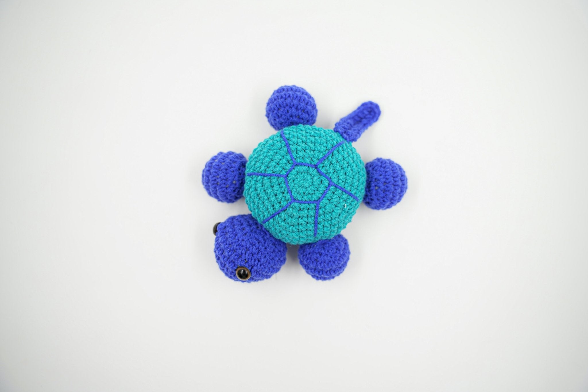 TURTLE TOY - PTI - MIRA Y MANO