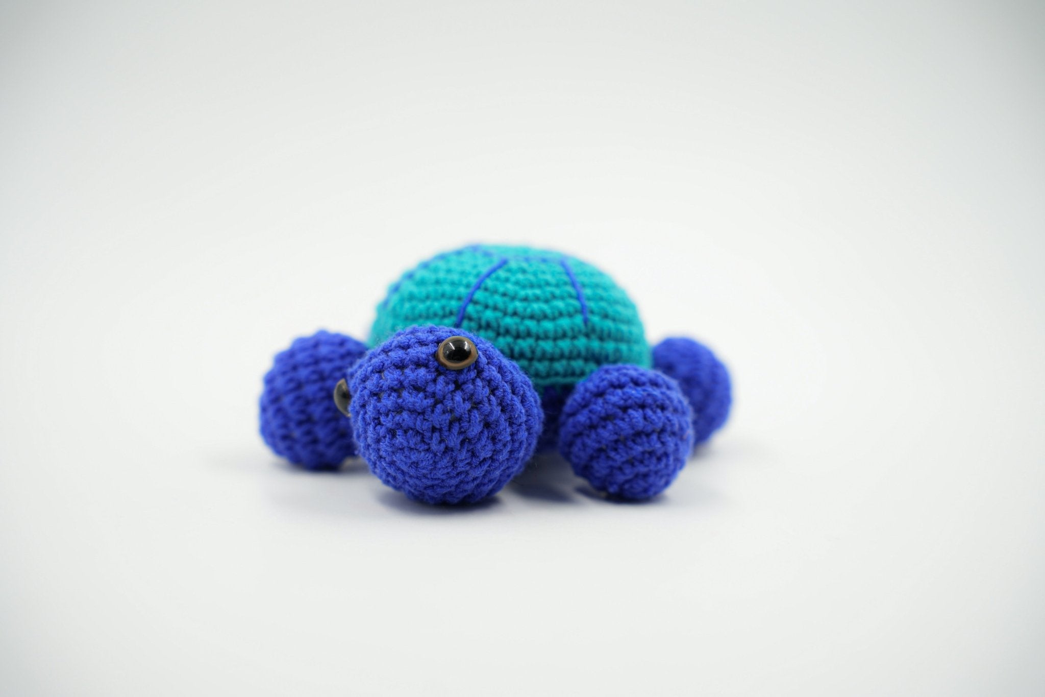 TURTLE TOY - PTI - MIRA Y MANO