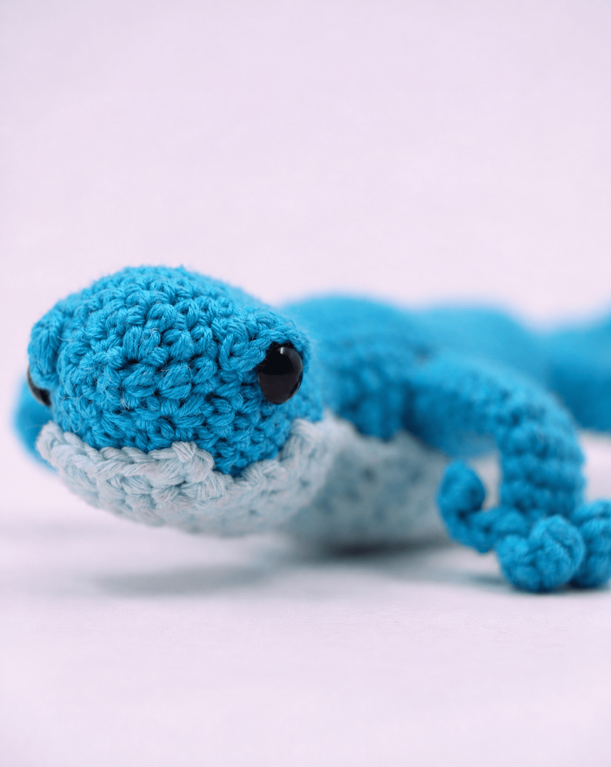 Wild Lizard Toy - PTI - MIRA Y MANO