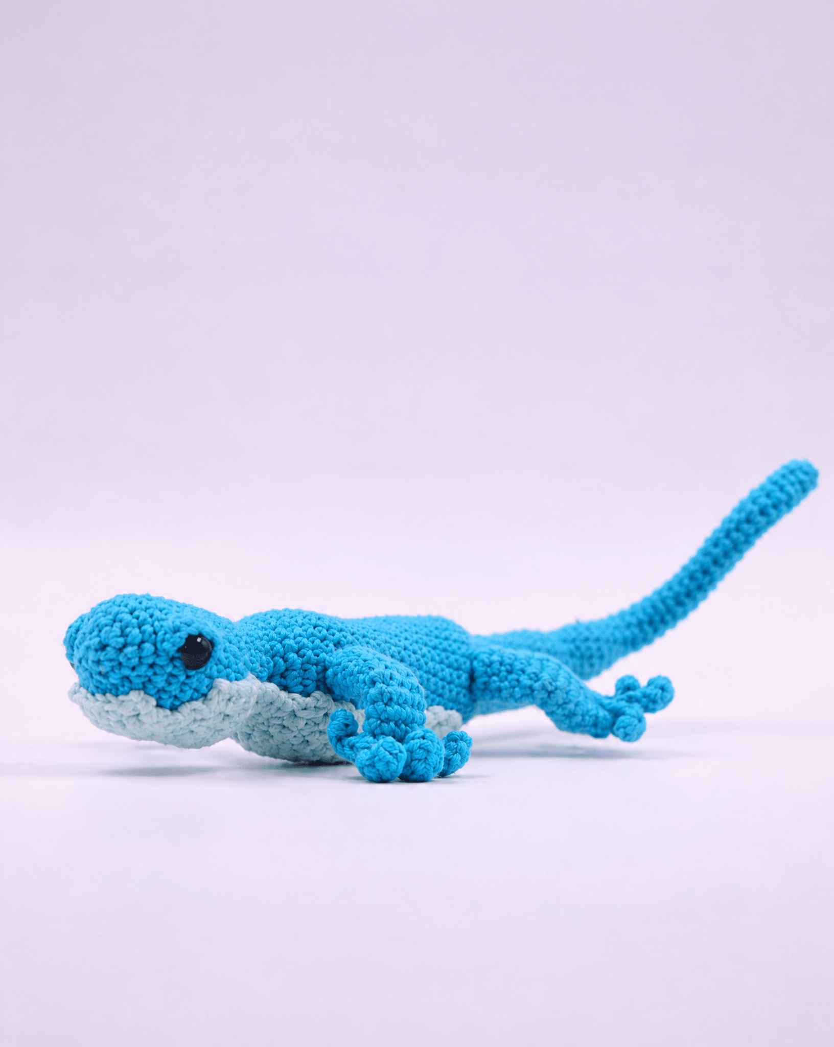 Wild Lizard Toy - PTI - MIRA Y MANO