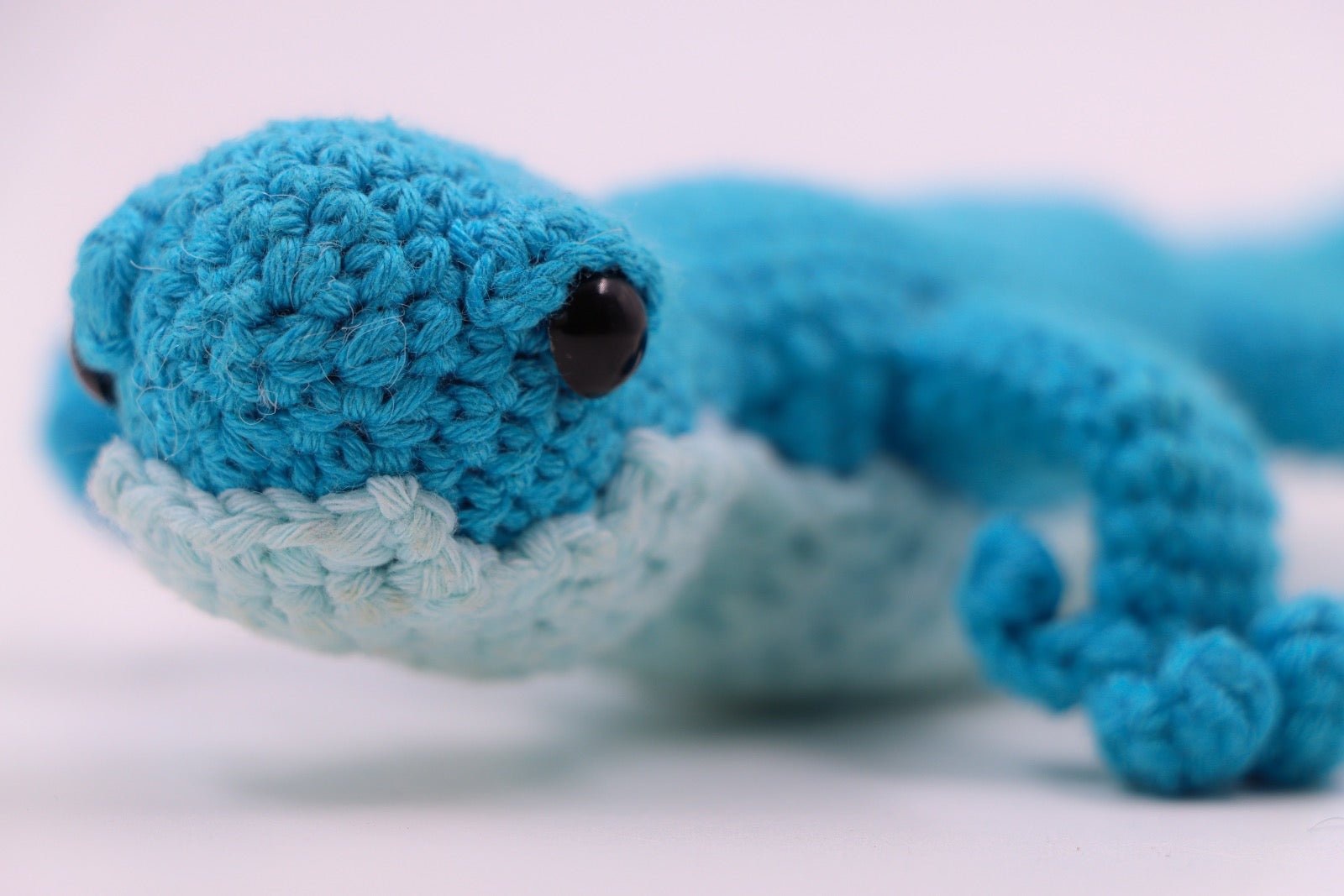 WILD LIZARD TOYS - PTI - MIRA Y MANO